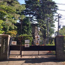 フェリス大学